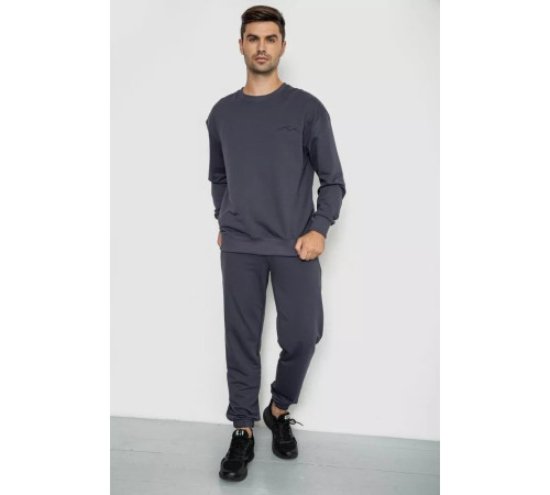 Спортивный мужской демисезонный костюм, цвет серый, 241R176-1