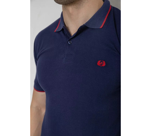 Поло мужское котоновое, цвет темно-синий, 247R301