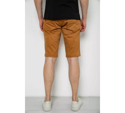 Шорты мужские однотонные, цвет коричневый, 238R2469.