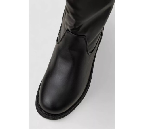 Сапоги женские зимние на меху, черный, 243RY209