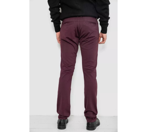 Брюки мужские, цвет бордовый, 244RV5-1.