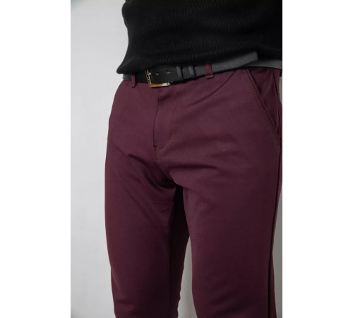 Брюки мужские, цвет бордовый, 244RV5-1.