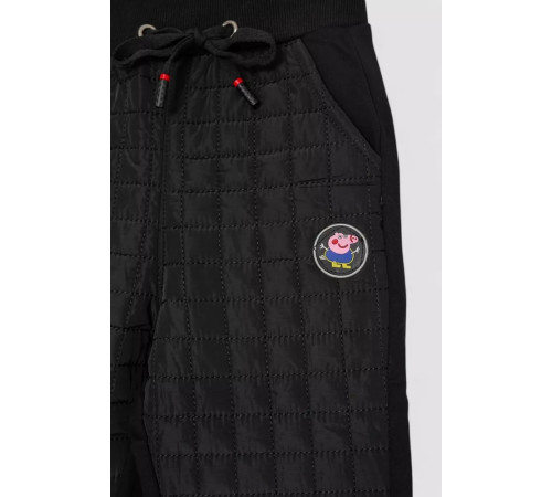 Брюки детские, цвет черный, 243RA032.