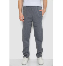 Спортивні штани чоловічі на флісі, колір сірий, 244R4934