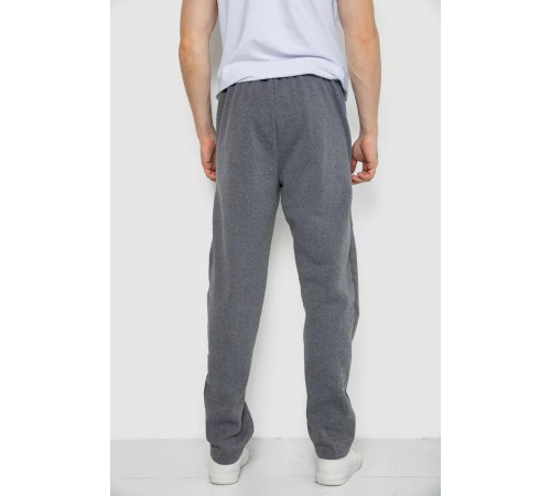 Спортивні штани чоловічі на флісі, колір сірий, 244R4934