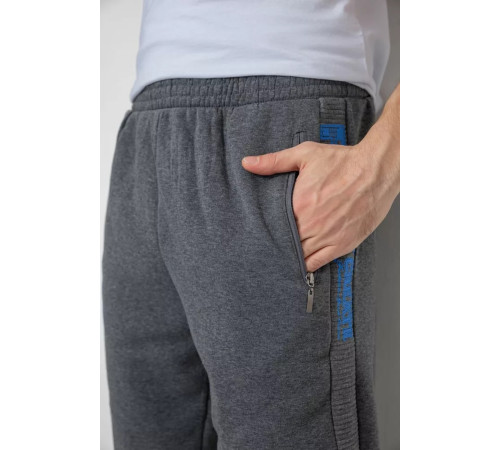 Спортивні штани чоловічі на флісі, колір сірий, 244R4934