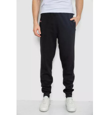 Спортивні штани чоловічі на флісі, колір чорний, 244R41271