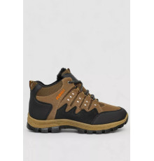 Черевики чоловічі на хутрі, колір коричневий, 244R921