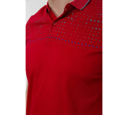 Поло чоловіче, колір бордовий, 214R1842