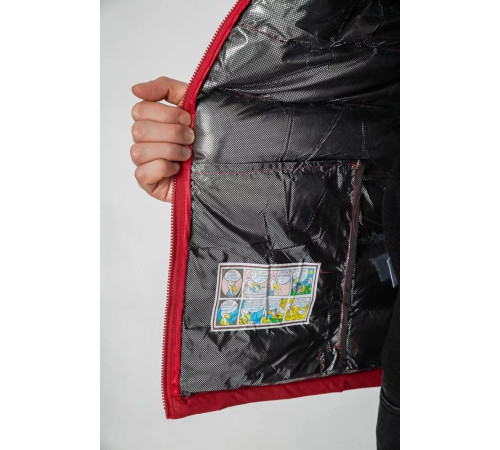 Жилетка чоловіча демісезонна, колір бордовий, 244RC666