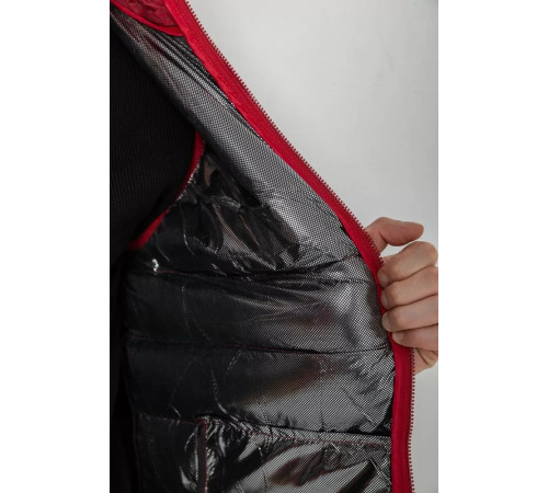 Жилетка чоловіча демісезонна, колір бордовий, 244RC666