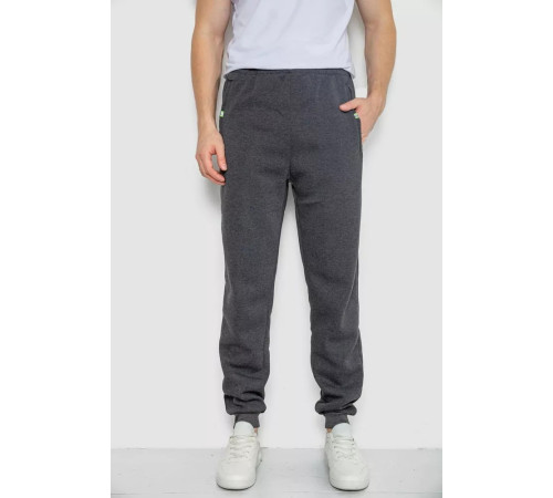 Спортивні штани чоловічі на флісі, колір темно-сірий, 244R41307