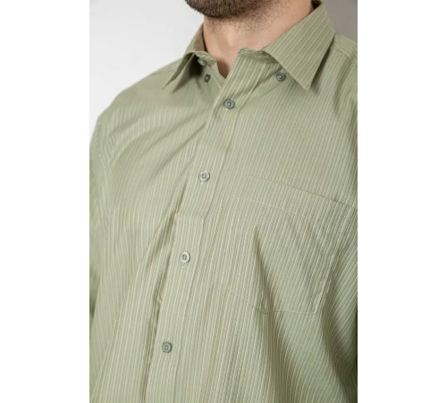 Сорочка чоловіча класична, колір оливковий, 244R332