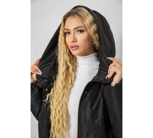 Пуховик женский зимний, цвет черный, 243R8810