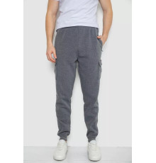 Спортивні штани чоловічі на флісі, колір сірий, 244R41207