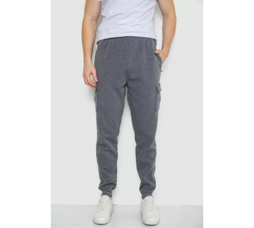Спортивні штани чоловічі на флісі, колір сірий, 244R41207