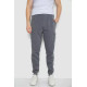 Спортивні штани чоловічі на флісі, колір сірий, 244R41207