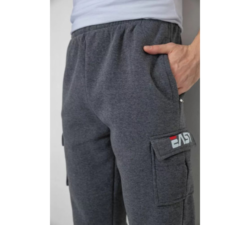 Спортивні штани чоловічі на флісі, колір сірий, 244R41207