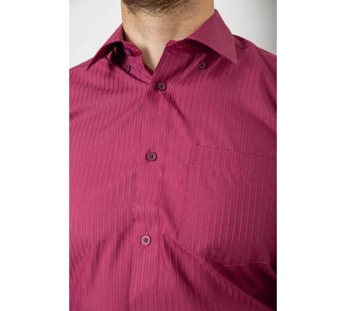 Сорочка чоловіча, колір бордовий, 244R881