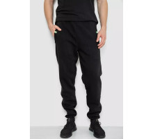 Спортивні штани чоловічі на флісі, колір чорний, 244R41299