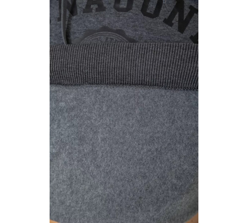 Худі чоловічий на флісі з капюшоном, колір сірий, 244R2197