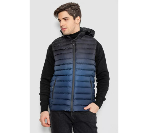 Жилетка мужская демисезонная, цвет черно-синий, 244RC999