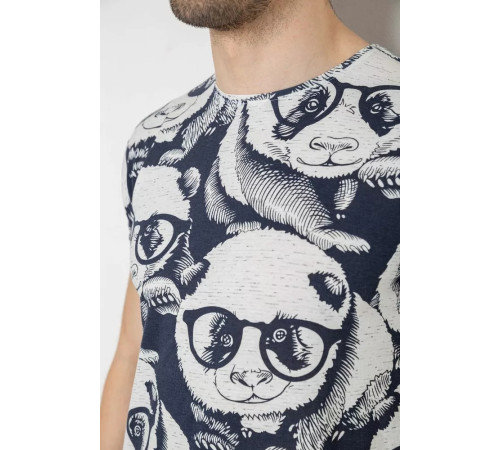 Мужская футболка с принтом, цвет сине-белый, 244R1099