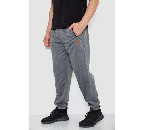 Спорт мужские брюки, цвет серый, 244R4732