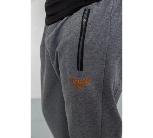 Спорт мужские брюки, цвет серый, 244R4732