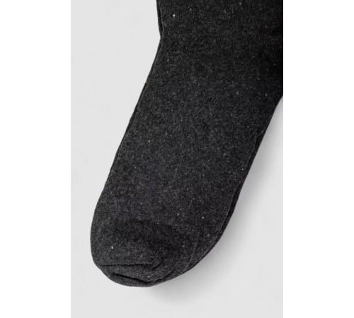 Шкарпетки чоловічі, колір темно-сірий, 238R337-1