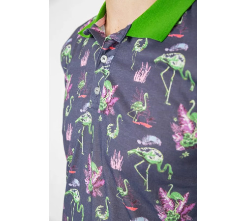 Поло мужское с принтом, цвет серо-зеленый, 247R312.