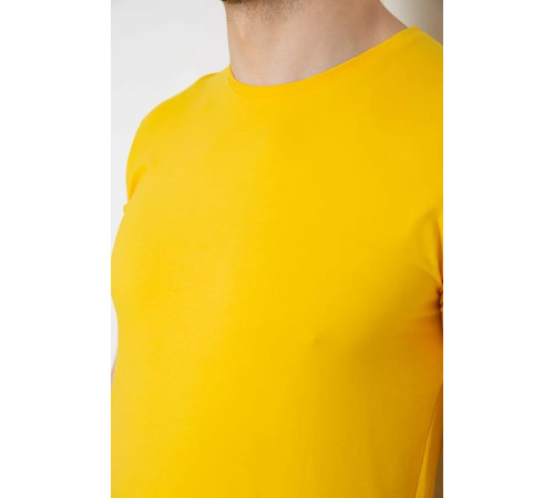 Футболка мужская однотонная базовая, цвет желтый, 244R2407.