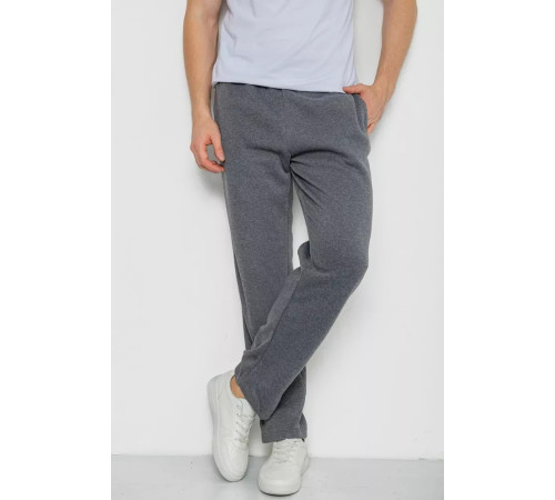 Спортивні штани чоловічі на флісі, колір сірий, 244R0025