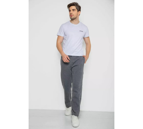 Спортивні штани чоловічі на флісі, колір сірий, 244R0025