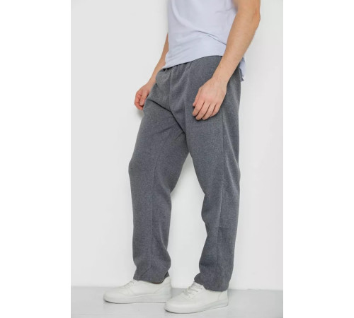 Спортивні штани чоловічі на флісі, колір сірий, 244R0025