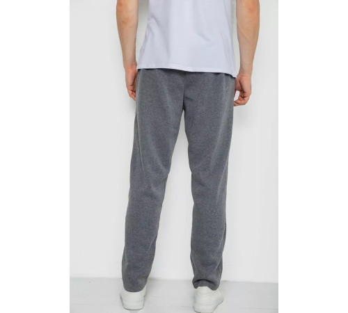 Спортивні штани чоловічі на флісі, колір сірий, 244R0025
