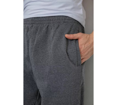 Спортивні штани чоловічі на флісі, колір сірий, 244R0025