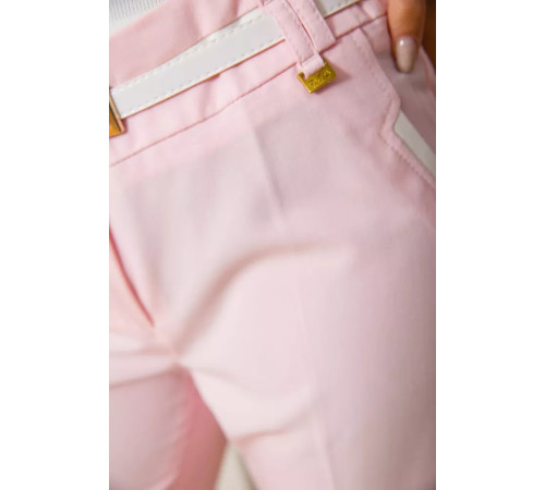 Жіночі штани класичні, рожевого кольору, 182R234