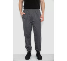 Спортивные брюки мужские, цвет темно-серый, 244R4692.