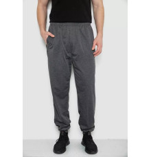 Спортивні штани чоловічі, колір темно-сірий, 244R4692