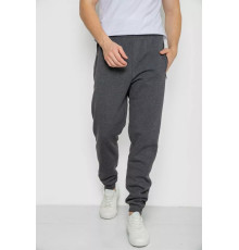 Спорт чоловічі штани на флісі, колір темно-сірий, 244R41508