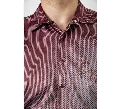 Рубашка мужская с принтом, цвет бордовый, 214R5829