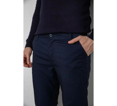 Брюки мужские, цвет темно-синий, 244R4203B