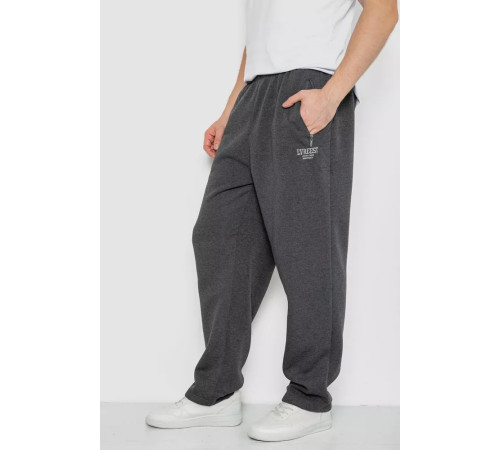 Спортивні штани чоловічі на флісі, колір темно-сірий, 244R4869