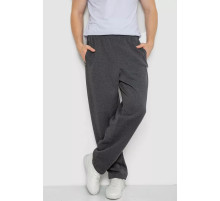 Спортивные брюки мужские на флисе, цвет темно-серый, 244R4869