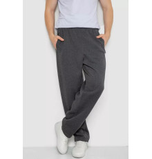 Спортивні штани чоловічі на флісі, колір темно-сірий, 244R4869