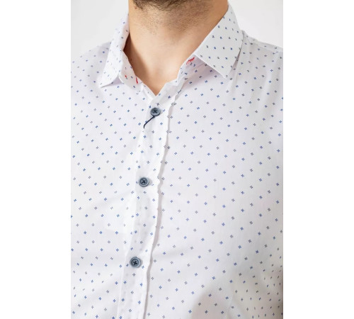 Рубашка мужская с принтом, цвет белый, 214R6917-4