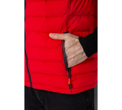 Жилетка чоловіча демісезонна, колір синьо-червоний, 244R2323