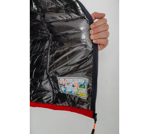 Жилетка чоловіча демісезонна, колір синьо-червоний, 244R2323