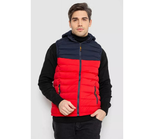 Жилетка чоловіча демісезонна, колір синьо-червоний, 244R2323